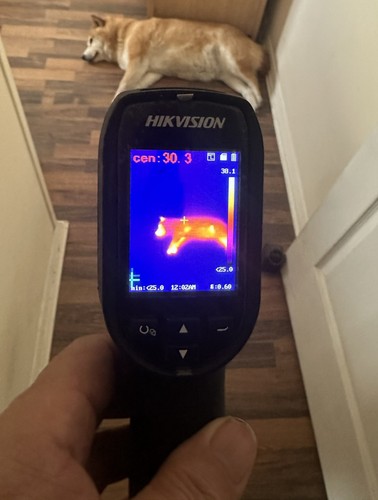 Hik vision thermal imaging - hik,